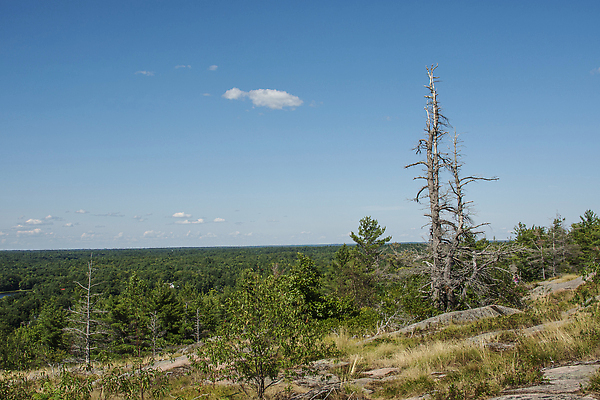 포토 JPG 해외이미지 나무 계절 공원 여행 자연 하늘 산 파노라마 풍경 사람없음 야외 목재 파란색 평화 환경 하이킹 소나무 숲 땅 내추럴 눈내림 해외202309 해외포토 식물 공공시설 컬러 컨셉 재료 레저 눈_날씨 촬영기법 생태계 파일형식