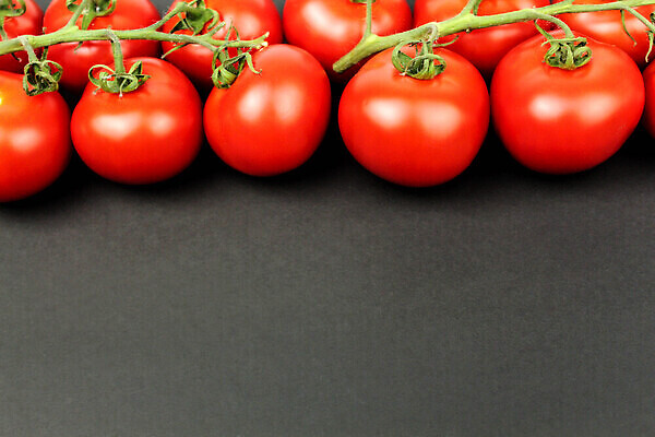 포토 JPG 해외이미지 식물 접시 음식 줄기 컬러 백그라운드 농업 토마토 채소 과일 재료 자연 건강 요리 사람없음 빨간색 초록색 물 빛 주방 샐러드 성장 물방울 나뭇가지 신선 그룹 시장 다발 오브젝트 상쾌 유기농 날것 건강식 내추럴 숙성 채식주의자 해외202309 해외포토 자연요소 나무 식기 웰빙 감정 산업 생태계 채식 파일형식