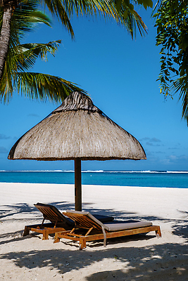 포토 JPG 해외이미지 나무 모래 바다 섬 여행 백그라운드 의자 우산 아프리카 자연 휴가 휴식 열대 산 파노라마 손바닥 사람없음 파란색 맑음 침대 만 고급 휴양지 선베드 코코넛 석호 내추럴 모리셔스 이국적 터키석 파라다이스 해외202309 해외포토 식물 손 나라 컬러 가구 컨셉 과일 날씨 촬영기법 장소 보석 생태계 파일형식