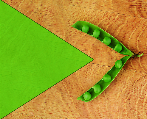 포토 JPG 해외이미지 식물 라이프스타일 음식 백그라운드 패턴 농업 다이어트 채소 재료 자연 콩 건강 요리 씨앗 사람없음 가로 초록색 쌓기 수확 흰색 신선 그룹 사발 시장 먹기 가득함 오브젝트 유기농 완두콩 날것 비타민 국산 흙더미 내추럴 고립 꼬투리 숙성 채식주의자 해외202309 해외포토 웰빙 산업 컬러 무늬 모션 곡류 생활 흙 사기그릇 생태계 채식 영양소 파일형식 더미