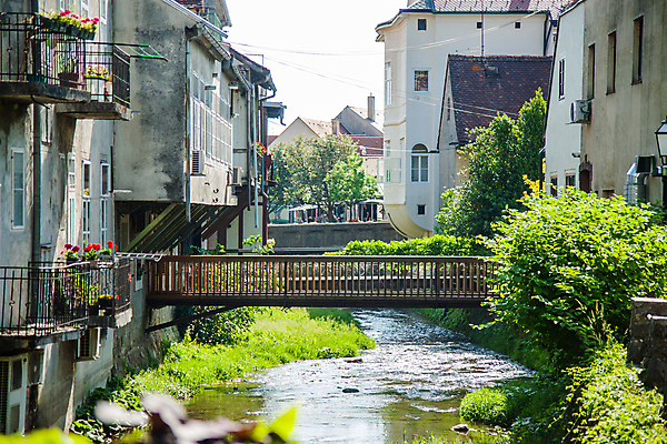 포토 JPG 해외이미지 공원 꽃 유럽 컬러 여행 꽃무늬 건축양식 자연 지붕 거리 주택 사람없음 야외 건물 초록색 파란색 강 컬러풀 뷰티 여행객 정원 맑음 봄 산책로 낭만 벚꽃 도시 개화 중세 역사 엽서 운하 장면 타운 크로아티아 옛날 해외202309 해외포토 식물 건축물 계절 공공시설 건축 나라 길 컨셉 무늬 날씨 사람 편지 생태계 파일형식