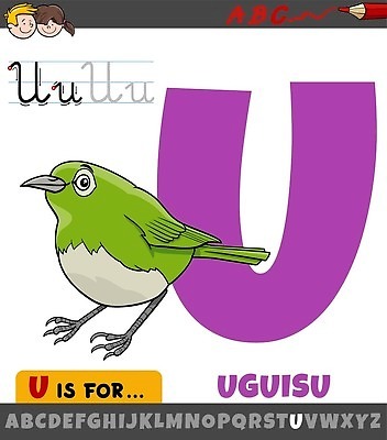 EPS 해외이미지 동물 템플릿 캐릭터 디자인 알파벳 교육 일러스트 텍스트 학교 조류 타이포그라피 그래픽 책 단어 학습 유치원 게임 U 도움 가르침 어플리케이션 만화 편지 수집 그림 페이지 문제집 타입 최초 초보 벡터 해외202309 해외일러스트 일러캐릭터 문자 영어 컨셉 놀이 파일형식