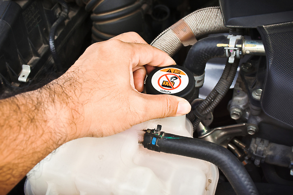 포토 JPG 해외이미지 손 산업 부분 교통시설 자동차 노동자 사람없음 물 기계 장비 긴급 저수지 업무 오픈 뜨거움 액체 작업실 기술자 수리 닫기 위험 플라스틱 서비스 탱크 온도 엔진 정비공 점검 모터 유지 라디에이터 자동 차고 캡모자 해외202309 해외포토 자연요소 직업 모자_잡화 육상교통 교통 컨셉 모션 재질 신체부위 작업 시설 파일형식