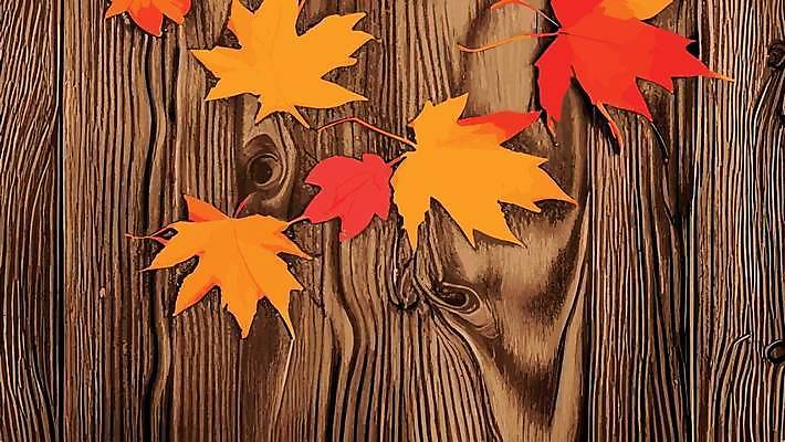 EPS 해외이미지 식물 디자인 계절 컬러 백그라운드 단풍 잎 캐나다 패턴 오렌지 일러스트 모션 자연 추상 프레임 미술 타이포그라피 야외 장식 빨간색 컬러풀 갈색 노란색 세일 수확 가을 인사 황금 숲 허브 타일 유기농 질감 레이아웃 10월 내추럴 취급주의 벡터 카피스페이스 반복 해외202309 해외일러스트 문자 웰빙 북아메리카 무늬 농업 과일 문화예술 경고 공백 예절 날짜 생태계 파일형식