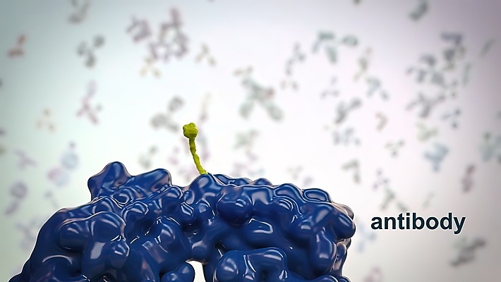 포토 JPG 해외이미지 과학 신체 해부 미래 건강 병원 현미경 사람없음 컴퓨터 약 3D 스크린 모니터 시험 실험실 바이러스 어플리케이션 질병 DNA 사이버 분석 미생물 염색체 암 외과 박테리아 단백질 소프트웨어 스캔 인터페이스 종양 프로그램 홀로그램 더스트파티클 해외202309 해외포토 교육 컨셉 의학 생물 실험기구 실험 전자제품 생명공학 디지털합성 영양소 파일형식