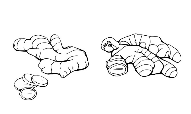 EPS 해외이미지 식물 디자인 음식 조각 다이어트 채소 일러스트 재료 자연 건강 요리 미술 약 주방 신선 맛 약초 낙서 상품 스케치 먹기 허브 향신료 그림 유기농 매움 아로마 뿌리 손그림 비타민 생강 건강식 내추럴 고립 면역력 채식주의자 벡터 비건 해외202309 해외일러스트 웰빙 컨셉 의학 모션 문화예술 풀_식물 생태계 채식 영양소 향미료 파일형식