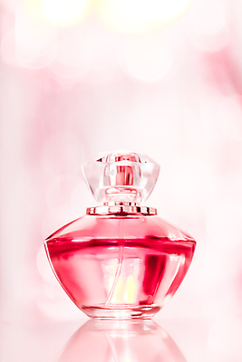 포토 JPG 해외이미지 분홍색 백그라운드 유리 사람없음 고급 향수 보케 향수병 해외202309 해외포토 컬러 컨셉 재질 화장품 병_담는 파일형식