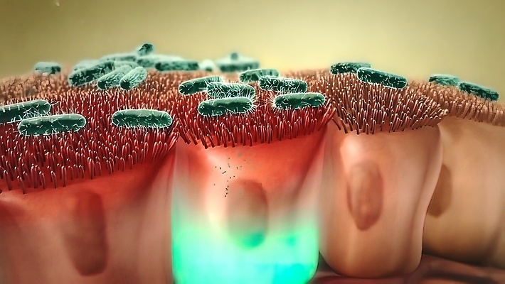 포토 JPG 해외이미지 식물 과학 해부 표면 세포 건강 사람 사람없음 약 3D 죽음 조직 바이러스 질병 자르기 생물학 발효 미생물 시스템 박테리아 해외202309 해외포토 교육 의학 모션 생물 디지털합성 파일형식