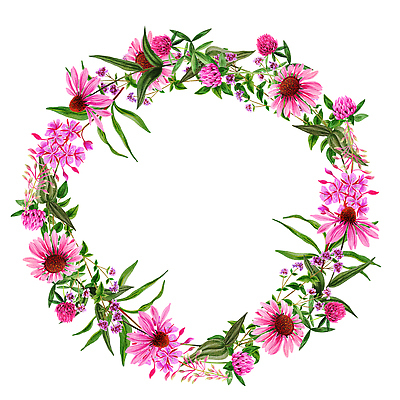 포토 JPG 해외이미지 식물 손 디자인 꽃 분홍색 결혼 백그라운드 잎 꽃무늬 밭 일러스트 프레임 미술 사람없음 그래픽 장식 정원 화환 봄 낭만 인사 원형 신용카드 클로버 허브 그림 초대 내추럴 고립 세이지 엘리먼트 해외202309 해외일러스트 도형 계절 컬러 컨셉 무늬 농업 문화예술 이벤트 신체부위 금융 예절 파일형식