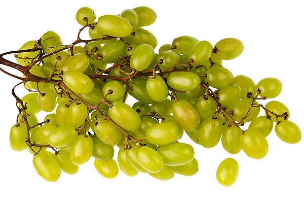 포토 JPG 해외이미지 스튜디오촬영 식물 접시 열매 음식 백그라운드 농업 다이어트 과일 자연 탁자 포도 디저트 건강 사람없음 목재 빨간색 초록색 여름 와인 보라색 검은색 어둠 주스 수확 흰색 나뭇가지 신선 달콤 맛 다발 먹기 상쾌 유기농 포도나무 비타민 건강식 내추럴 고립 숙성 맛있는 해외202309 해외포토 나무 식기 웰빙 계절 감정 산업 음료 컬러 가구 컨셉 재료 모션 주류 실내 과일나무 생태계 영양소 파일형식