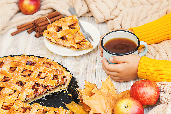 포토 JPG 해외이미지 손 조각 백그라운드 낙엽 신체부위 잡기 달콤 사과 시나몬 애플파이 카피스페이스 해외202309 해외포토 잎 과일 모션 사람 공백 맛 파이_빵 파일형식
