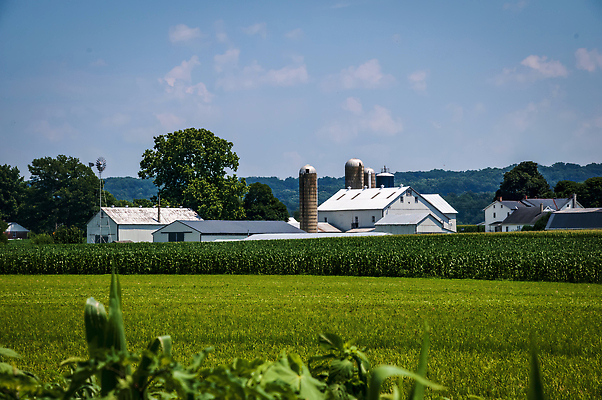 포토 JPG 해외이미지 나무 구름 종교 여행 밭 농업 건축양식 자연 하늘 주택 파노라마 옥수수 풍경 사람없음 건물 초록색 여름 파란색 농장 농경지 마을 농사 맑음 봄 수확 시골 역사 재산 땅 언덕 외양간 밭일 옛날 수평선 해외202309 해외포토 자연요소 식물 건축물 계절 건축 산업 컬러 날씨 곡류 촬영기법 금융 생태계 파일형식
