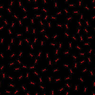 EPS 해외이미지 식물 동물 실루엣 야생동물 선 벽 곤충 백그라운드 패턴 일러스트 자국 자연 벽지 흑백 검은색 수확 흰색 그룹 해충 벌레 낙서 스케치 딱정벌레 타일 그림 질감 심플 거미 개미 내추럴 기어가기 고립 모기 식민지 벡터 효과 해외202309 해외일러스트 컬러 무늬 농업 모션 촬영기법 미술 생태계 파일형식
