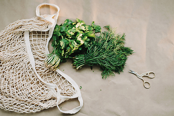 포토 JPG 해외이미지 식물 밧줄 음식 꽃다발 잎 다이어트 채소 재료 파슬리 건강 요리 사람없음 초록색 주방 정원 나뭇가지 시골 신선 고명 맛 다발 먹기 허브 향신료 유기농 날것 향기 아로마 향 바질 흙더미 내추럴 딜 숙성 채식주의자 그리너리 맛있는 해외202309 해외포토 나무 웰빙 꽃 줄 컬러 컨셉 모션 흙 채식 냄새 향미료 파일형식 더미 트랜드컬러