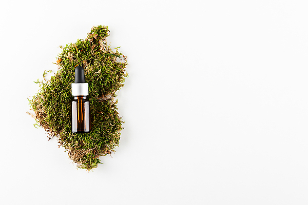 포토 JPG 해외이미지 이끼 사람없음 재활용 오브젝트 공병 친환경제품 제로웨이스트 해외202309 해외포토 그린캠페인 사회이슈 친환경 병_담는 파일형식