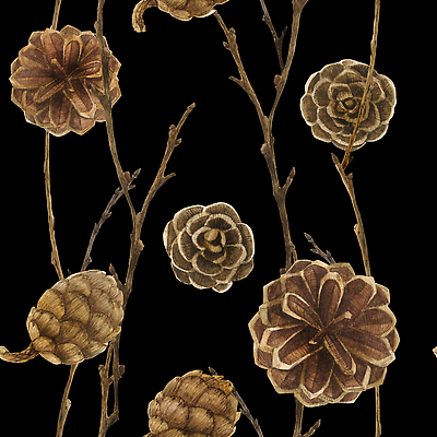 포토 JPG 해외이미지 나무 식물 디자인 계절 종이 백그라운드 크리스마스 겨울 패턴 일러스트 자연 벽지 새로움 사람없음 목재 장식 갈색 페인트 나뭇가지 직물 소나무 티켓 숲 연도 심볼 타일 질감 손그림 솔방울 침엽수 전나무 원뿔 삼나무 생태학 포장소품 가문비나무 반복 해외202309 해외일러스트 도형 교육 기념일 컬러 컨셉 무늬 재료 포장 오브젝트 생태계 포장재료 파일형식