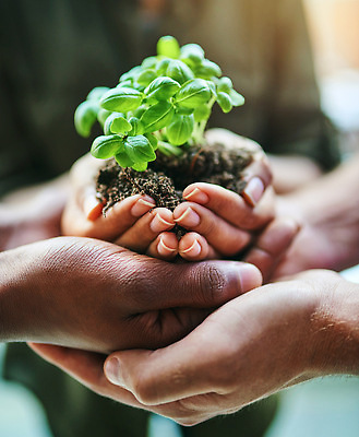 포토 JPG 해외이미지 손 들기 근접촬영 신체부위 새싹 자연보호 희망 흙 성장 손모으기 해외202309 해외포토 식물 감정 뷰포인트 모션 자연 사람 손짓 보호 파일형식
