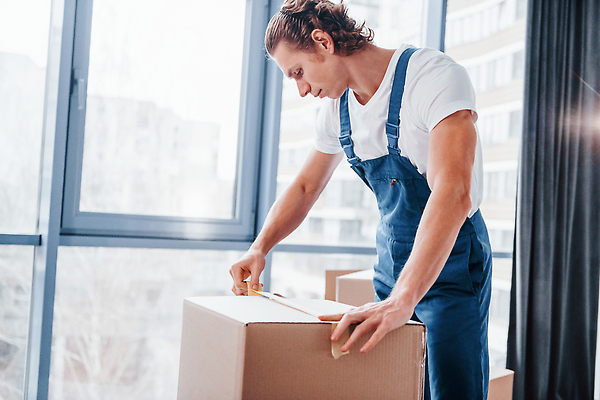 포토 JPG 해외이미지 백인 남자 유니폼 실내 한명 상반신 성인 옆모습 상자 이사 멜빵바지 이삿짐 이삿짐센터 성인남자한명만 해외202309 해외포토 서양인 1 옷 뷰포인트 바지 사람 내부 멜빵 남자한명만 성인남자만 파일형식