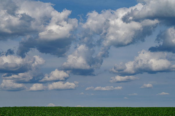 포토 JPG 해외이미지 구름 계절 컬러 백그라운드 패턴 자연 하늘 바람 날씨 풍경 사람없음 야외 초록색 여름 파란색 빛 햇빛 뷰티 우주 환경 맑음 침묵 자유 흰색 전원 오픈 분위기 장면 천국 솜털 흐림 내추럴 수평선 카피스페이스 해외202309 해외포토 자연요소 컨셉 무늬 태양 소리 공백 전기에너지 생태계 파일형식