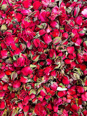 포토 JPG 해외이미지 라이프스타일 디자인 꽃잎 꽃 감정 음료 분홍색 백그라운드 잎 꽃무늬 자연 벽지 건조 발렌타인데이 사랑 요리 동양인 사람없음 빨간색 뷰티 장미 보라색 스파 낭만 벚꽃 닫기 맛 떨어짐 허브 질감 향기 향 흙더미 내추럴 히비스커스 해외202309 해외포토 식물 컬러 컨셉 무늬 모션 데이이벤트 인종 생활 흙 생태계 냄새 파일형식 더미