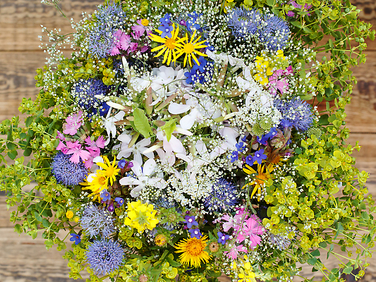 포토 JPG 해외이미지 식물 디자인 계절 꽃 분홍색 컬러 꽃다발 백그라운드 꽃무늬 밭 자연 선물 사람없음 목재 빨간색 초록색 여름 파란색 컬러풀 뷰티 노란색 봄 들꽃 수확 흰색 데이지 캐모마일 해외202309 해외포토 나무 무늬 농업 재료 허브 생태계 파일형식