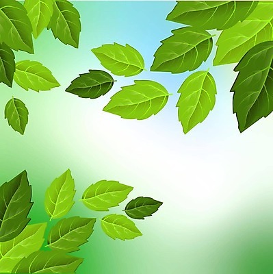 EPS 해외이미지 나무 식물 디자인 계절 백그라운드 잎 패턴 일러스트 자연 벽지 하늘 추상 야외 장식 초록색 파란색 빛 컬러풀 태양 뷰티 노란색 환경 정원 맑음 봄 성장 흰색 에코 유기농 질감 장면 솜털 내추럴 벡터 그리너리 해외202309 해외일러스트 자연요소 웰빙 컬러 무늬 날씨 생태계 파일형식 트랜드컬러