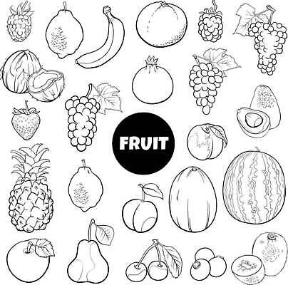 EPS 해외이미지 디자인 열매 음식 다이어트 오렌지 과일 일러스트 자연 딸기 포도 귤 수박 바나나 건강 키위 그래픽 책 세트 검은색 흰색 신선 체리 사과 멜론 만화 레몬 파인애플 오브젝트 그림 블루베리 산딸기 복숭아 페이지 라임 코코넛 석류 비타민 자두 블랙베리 아보카도 색칠공부 채식주의자 벡터 해외202309 해외일러스트 식물 컬러 학습 색칠 열대과일 생태계 채식 영양소 파일형식