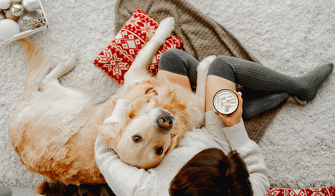 포토 JPG 해외이미지 전신 여자 쿠션 겨울 한명 성인 하이앵글 카펫 추위 골든리트리버 강아지 코코아 성인여자한명만 오너먼트 해외202309 해외포토 1 계절 음료 뷰포인트 크리스마스장식 사람 반려동물 개 리트리버 여자한명만 성인여자만 파일형식