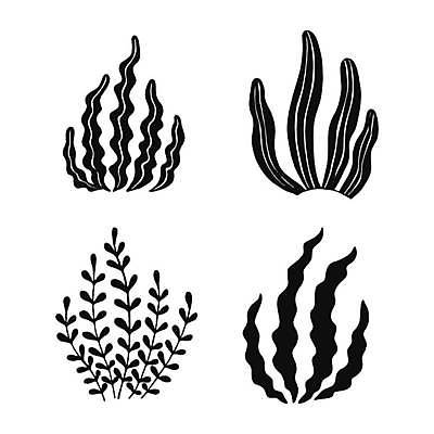 EPS 해외이미지 식물 손 디자인 실루엣 야생동물 바다 백그라운드 잎 꽃무늬 일러스트 자연 추상 미술 그래픽 물 세트 검은색 바닷속 수중 흰색 해조류 산호 큼 수집 그림 암초 수족관 서식지 고립 깊이 아네모네 엘리먼트 벡터 해외202309 해외일러스트 자연요소 동물 꽃 컬러 무늬 문화예술 촬영기법 신체부위 해양식물 자포동물 크기 생태계 파일형식