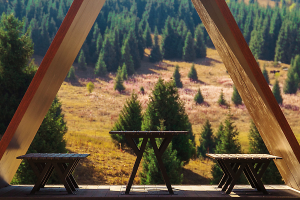 포토 JPG 해외이미지 나무 계절 공원 아시아 길 여행 자국 자연 지붕 산 사람없음 야외 초록색 뷰티 계곡 트래킹 하이킹 정지 숲 언덕 장면 카자흐스탄 알마티 해외202309 해외포토 식물 공공시설 나라 컬러 모션 레저 생태계 파일형식