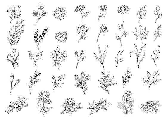 EPS 해외이미지 식물 손 디자인 꽃 결혼 잎 꽃무늬 일러스트 자연 잉크 흑백 미술 그래픽 장식 초록색 세트 뷰티 정원 검은색 봄 수확 벚꽃 나뭇가지 시골 신선 우아함 낙서 스케치 수집 그림 복고 초대 손그림 내추럴 양치류 엘리먼트 벡터 그리너리 해외202309 해외일러스트 나무 계절 컬러 컨셉 무늬 농업 문화예술 촬영기법 이벤트 신체부위 생태계 파일형식 트랜드컬러