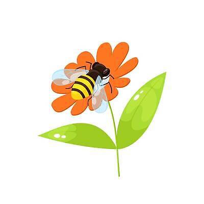 EPS 해외이미지 템플릿 디자인 꽃잎 꽃 음식 컬러 곤충 백그라운드 컨셉 꽃무늬 일러스트 자연 건강 장식 컬러풀 뷰티 약 봄 흰색 신선 달콤 만화 심볼 그림 유기농 꽃가루 꿀 내추럴 양봉 엘리먼트 왁스 벡터 맛있는 해외202309 해외일러스트 식물 동물 웰빙 계절 무늬 의학 맛 가루 생태계 파일형식