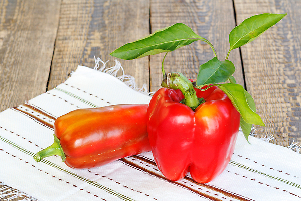 포토 JPG 해외이미지 음식 컬러 백그라운드 2 농업 다이어트 채소 재료 자연 탁자 건강 사람없음 목재 빨간색 초록색 수건 노란색 주방 종 시골 신선 달콤 정상 유기농 날것 후추 내추럴 항공촬영 숙성 옛날 채식주의자 해외202309 해외포토 나무 웰빙 산업 뷰포인트 가구 위생용품 맛 향신료 생태계 채식 파일형식