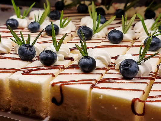 포토 JPG 해외이미지 사람없음 장식 조각케이크 크림 블루베리 일렬 로즈메리 뷔페 해외202309 해외포토 과일 케이크 허브 파일형식