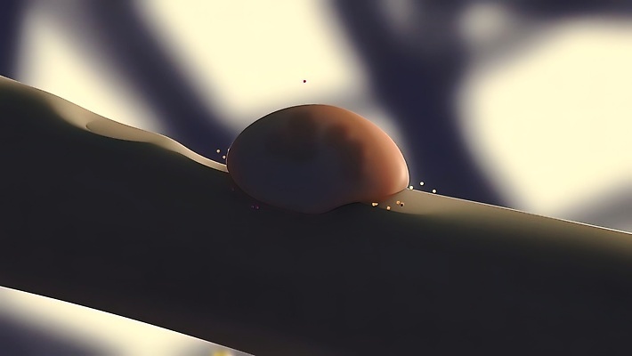 포토 JPG 해외이미지 과학 신체 일러스트 부분 해부 휴식 뼈 골격 세포 실내 사람 사람없음 치료 약 3D 조직 수리 묘사 생물학 골다공증 개발 돌봄 방법 연골 패닝샷 해외202309 해외포토 교육 컨셉 의학 모션 촬영기법 내부 질병 디지털합성 파일형식