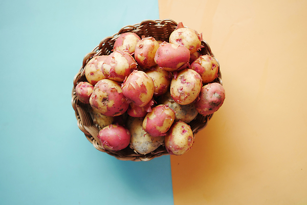 포토 JPG 해외이미지 음식 컬러 조각 채소 재료 감자 사람없음 회색 그룹 자르기 허브 유기농 날것 슬라이스 뿌리 해외202309 해외포토 식물 웰빙 모션 파일형식