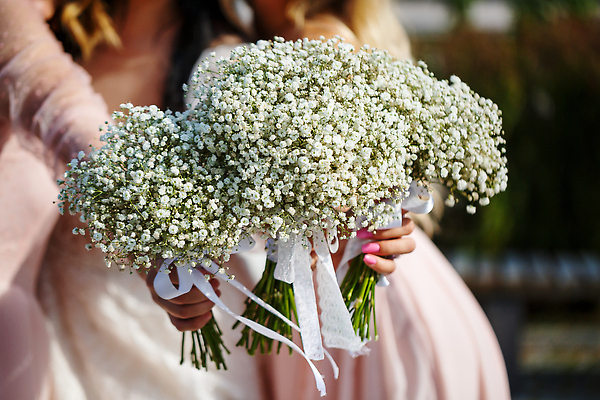 포토 JPG 해외이미지 여자 신부 부케 웨딩드레스 결혼식 들기 상반신 성인 두명 앞모습 성인여자만 해외202309 해외포토 드레스 뷰포인트 꽃다발 결혼 모션 사람 여자만 성인만 파일형식