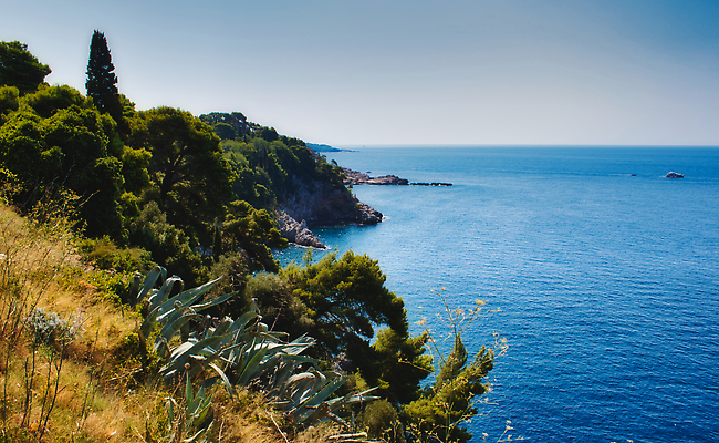포토 JPG 해외이미지 나무 유럽 얼굴 바다 섬 여행 자연 하늘 휴가 따뜻함 풍경 경사 사람없음 초록색 물 여름 파란색 뷰티 환경 성장 전원 만 숲 지중해 암초 크로아티아 내추럴 항공촬영 단절 얇은 파라다이스 해외202309 해외포토 자연요소 식물 계절 나라 뷰포인트 컬러 신체부위 전기에너지 생태계 파일형식