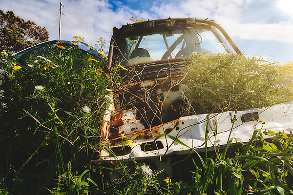 포토 JPG 해외이미지 밭 신체 자동차 자연 날씨 사람없음 야외 태양 농장 금속 맑음 기계 수확 골동품 시골 닫기 폐기물 숲 버리기 부식 각도 짐차 한조각 흙더미 고물상 옛날 자동 중고 철강 해외202309 해외포토 자연요소 1 육상교통 농업 모션 재질 흙 쓰레기 생태계 파일형식 더미