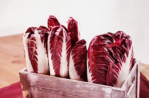 포토 JPG 해외이미지 스튜디오촬영 음식 잎 농업 다이어트 채소 재료 건강 사람없음 빨간색 샐러드 맛 상추 날것 생식 채식주의자 치커리 카피스페이스 해외202309 해외포토 식물 산업 컬러 컨셉 실내 공백 채식 파일형식