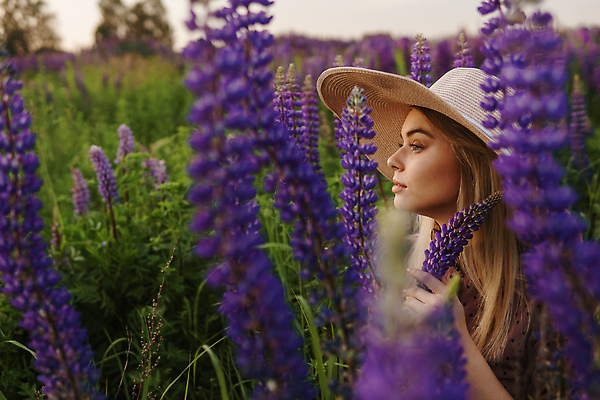 포토 JPG 해외이미지 여자 잎 꽃밭 한명 상반신 성인 야외 옆모습 뷰티 노을 허브 밀짚모자 내추럴 허브꽃 성인여자한명만 해외202309 해외포토 자연요소 식물 모자_잡화 1 꽃 뷰포인트 사람 여자한명만 성인여자만 파일형식