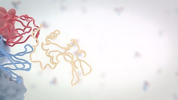 포토 JPG 해외이미지 과학 신체 해부 미래 건강 병원 현미경 사람없음 컴퓨터 약 3D 스크린 모니터 시험 실험실 바이러스 어플리케이션 질병 DNA 사이버 분석 미생물 염색체 암 외과 박테리아 단백질 소프트웨어 스캔 인터페이스 종양 프로그램 홀로그램 더스트파티클 해외202309 해외포토 교육 컨셉 의학 생물 실험기구 실험 전자제품 생명공학 디지털합성 영양소 파일형식