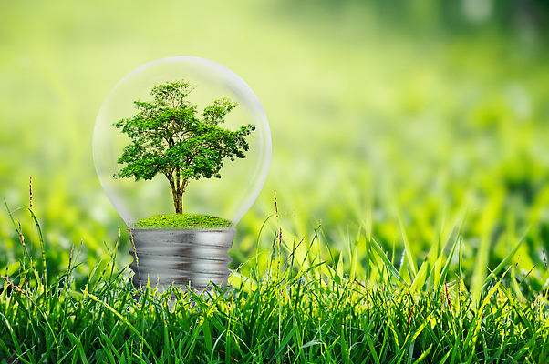 포토 JPG 해외이미지 나무 식물 손 지구 백그라운드 컨셉 잎 전구 자연 유리 미래 아이디어 실내 사람없음 초록색 빛 글로벌 태양 환경 힘 재활용 행성 에너지 성장 흰색 램프 심볼 에코 생태계 자원 해결 유지 내추럴 혁명 발명 생태학 효율 해외202309 해외포토 자연요소 교육 컬러 재질 조명 내부 신체부위 우주 친환경 파일형식