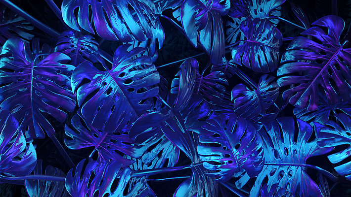 포토 JPG 해외이미지 식물 디자인 행복 안경 백그라운드 패턴 자연 유리 추상 손바닥 미술 사람없음 장식 물 파란색 빛 햇빛 태양 뷰티 3D 봄 수확 신선 야간 소프트포커스 인쇄 질감 보케 네온 내추럴 블러 필터 하와이인 브라질사람 해외202309 해외포토 자연요소 외국인 손 잡화 계절 감정 컬러 무늬 농업 재질 문화예술 촬영기법 디지털합성 생태계 파일형식