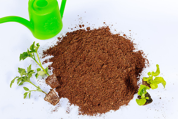 포토 JPG 해외이미지 잎 농업 토마토 채소 사람없음 야외 초록색 환경 흙 봄 샐러드 물뿌리개 성장 시골 업무 농부 상추 흰배경 땅바닥 땅파기 묘목 밭일 심기 온실 원예사 해외202309 해외포토 나무 식물 직업 계절 산업 음식 컬러 백그라운드 모션 바닥 흰색 작업 파일형식