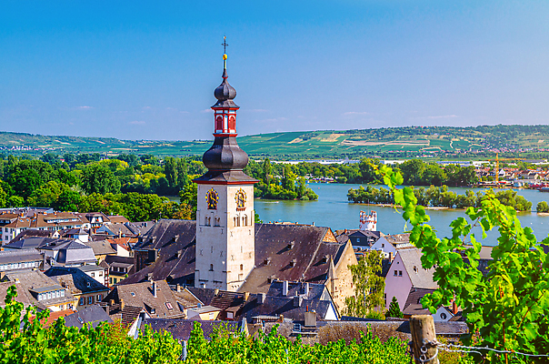 포토 JPG 해외이미지 나무 유럽 시계 여행 자연 하늘 독일 안테나 파노라마 사람없음 야외 초록색 물 강 교회 환경 탑 골짜기 계곡 시골 도시 역사 정상 포도밭 지역 타운 랜드마크 양조 수평선 해외202309 해외포토 자연요소 식물 건축물 나라 컬러 밭 통신 종교건축 촬영기법 건물 생태계 파일형식