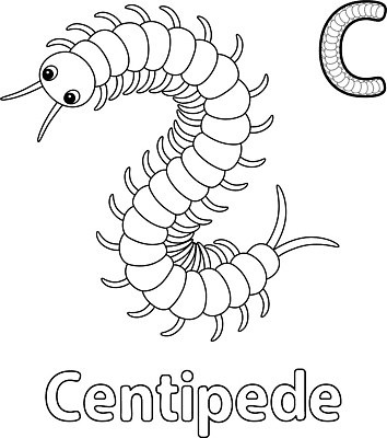 EPS 해외이미지 동물 디자인 알파벳 교육 실루엣 어린이 선 컬러 절지류 일러스트 자연 초등학교 그래픽 유치원 기록 위험 편지 그림 윤곽 손그림 페이지 시트 C 걸음마 고립 색칠공부 벡터 해외202309 해외일러스트 영어 컨셉 학교 모션 촬영기법 사람 학습 색칠 생태계 파일형식