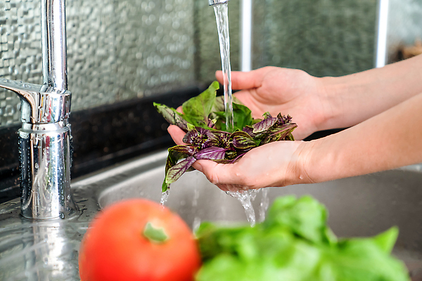 포토 JPG 해외이미지 여자 음식 다이어트 채소 재료 주택 건강 관리 요리 사람없음 빨간색 초록색 물 주방 샐러드 젖음 신선 씻기 빨래 상품 싱크대 수도꼭지 유기농 날것 비타민 위생관리 채식주의자 비건 해외202309 해외포토 자연요소 웰빙 컬러 가사 사람 건물 청결 개수대 채식 영양소 파일형식