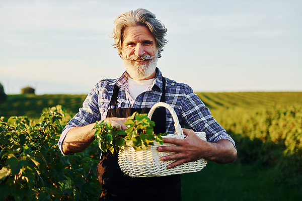 포토 JPG 해외이미지 열매 노년 남자 밭 농업 한명 들기 상반신 앞모습 농경지 바구니 농사 수확 시골 농부 노인남자한명만 해외202309 해외포토 식물 직업 1 산업 뷰포인트 모션 사람 성인 농장 남자한명만 노인남자만 파일형식