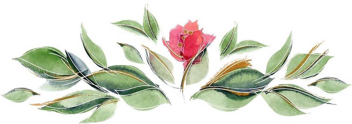 EPS 해외이미지 식물 계절 꽃 분홍색 꽃다발 잎 꽃무늬 일러스트 자연 휴가 수채화 미술 동양인 여름 장미 정원 중국 봄 벚꽃 나뭇가지 인사 신선 향수 초대 손그림 비네팅 내추럴 구성 해외202309 해외일러스트 나무 아시아 컬러 무늬 문화예술 촬영기법 인종 화장품 예절 생태계 파일형식 벡터